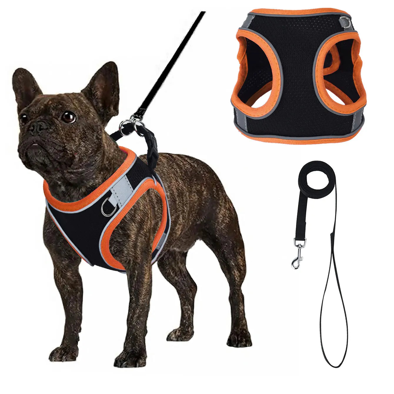 Justerbar Västsele i Mesh till Hund – Svart med Färgglada Detaljer