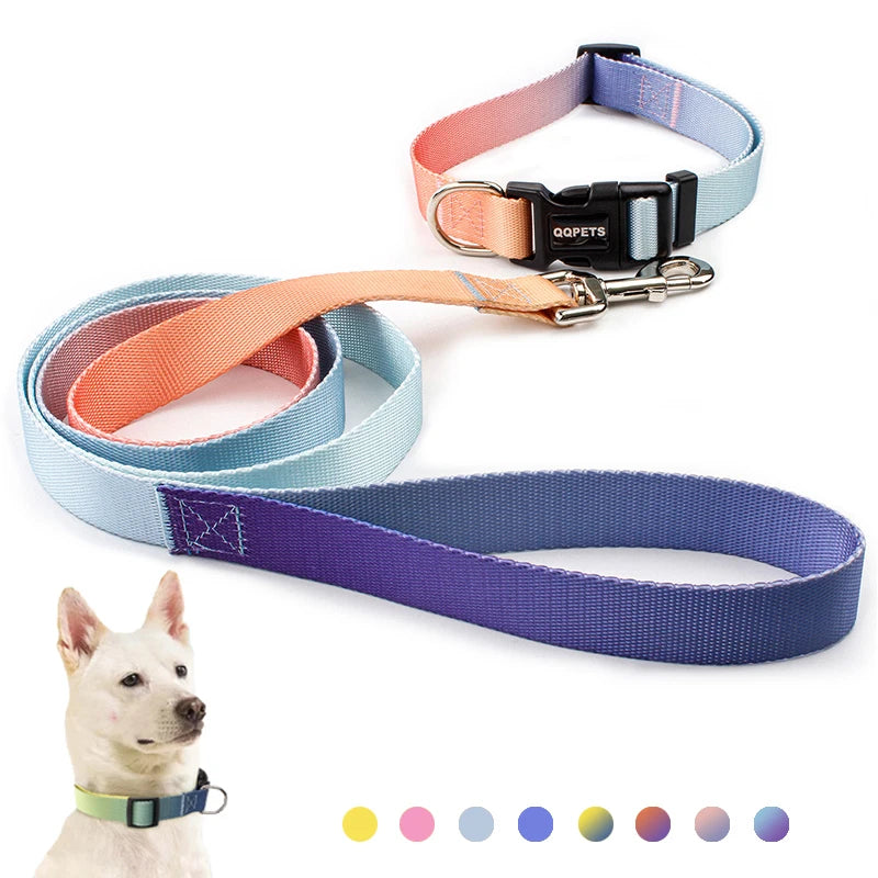 Färgglatt Hundkoppel & Halsband – Justerbart Nylonsset