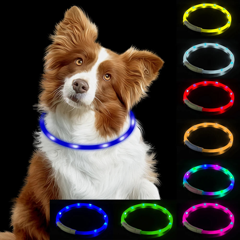 led hundhalsband usb laddning säkerhet synlighet mörker
