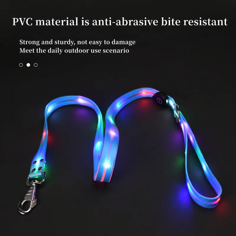 Reflekterande & Blinkande LED-Halsband med Koppel – för Säkra Kvällspromenader
