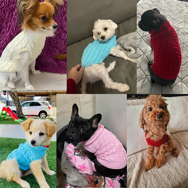 Stickad Vintertröja för Hund & Katt – Mjuk Pullover med Polokrage för Kalla Dagar