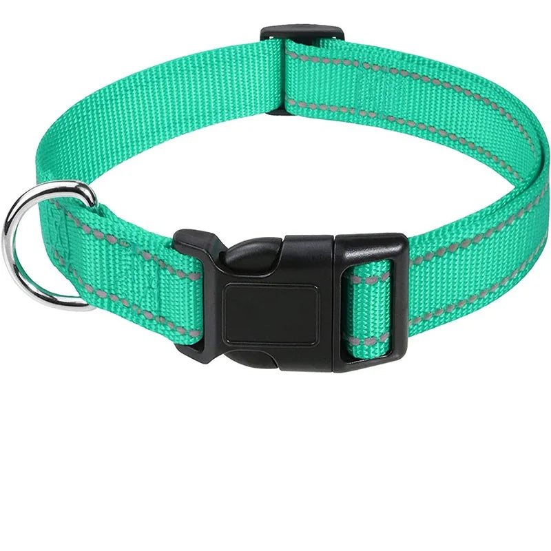 Hållbart Hundhalsband med Spänne – Justerbart och Stilrent för Valpar och Vuxna Hundar i Alla Storlekar