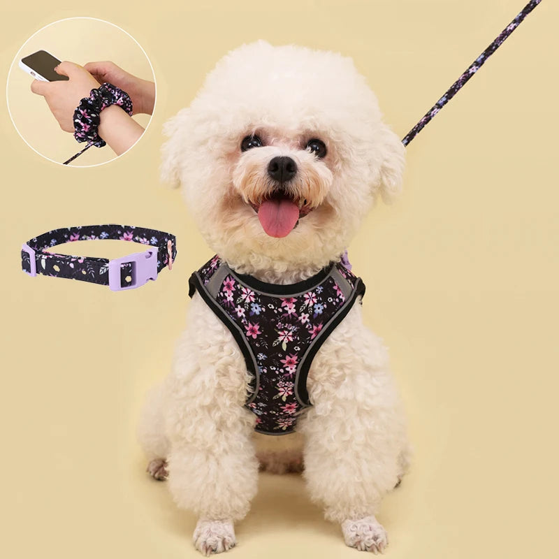 Reflexsele, Halsband och Handsfree-koppel för Hund eller Katt – Justerbar, Bekväm och Säker