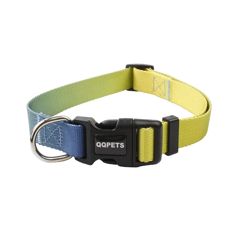 Färgglatt Hundkoppel & Halsband – Justerbart Nylonsset