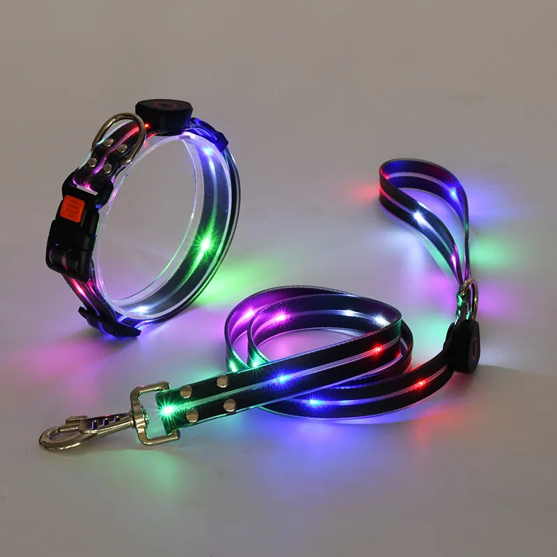 Reflekterande & Blinkande LED-Halsband med Koppel – för Säkra Kvällspromenader