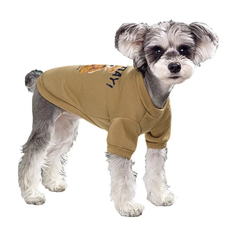 Björntröja i Fleece för Hund & Katt – Söt och Varm Pullover för Höst & Vinter