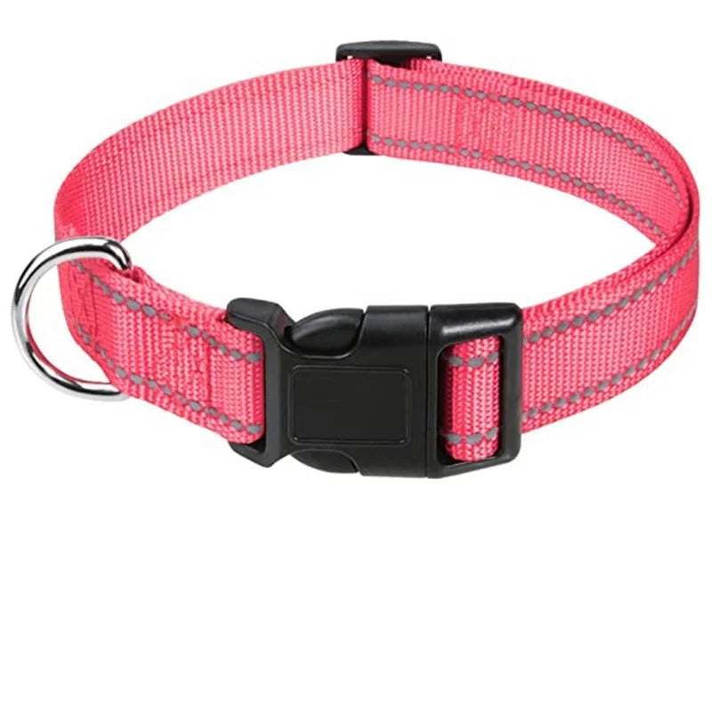 Hållbart Hundhalsband med Spänne – Justerbart och Stilrent för Valpar och Vuxna Hundar i Alla Storlekar