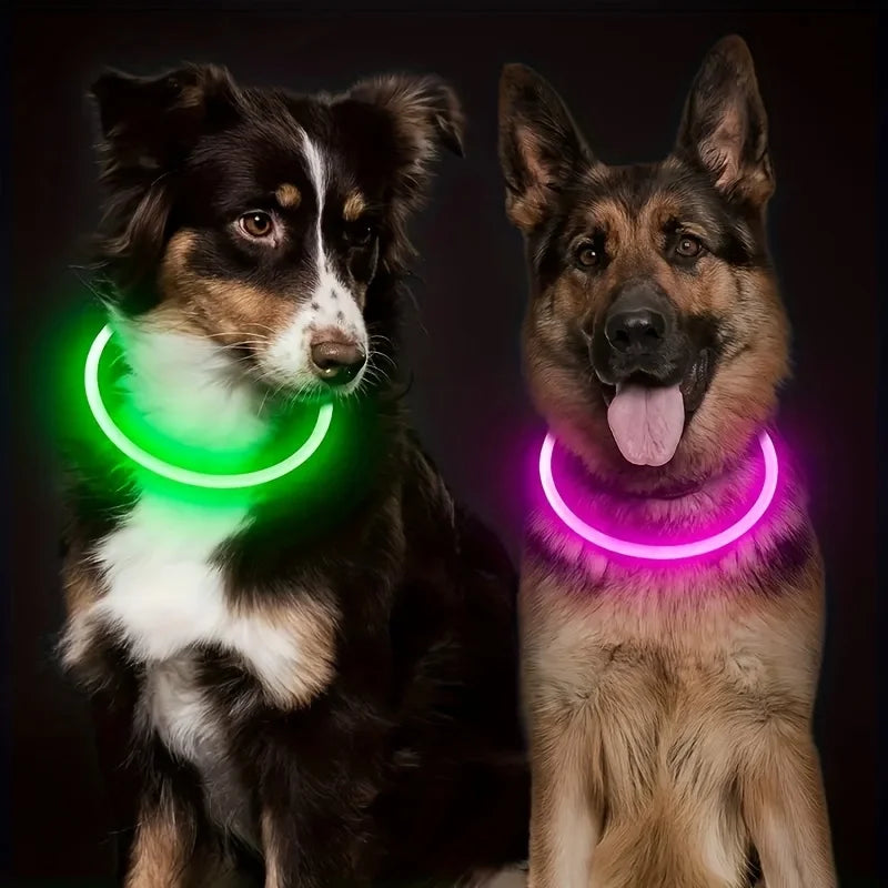 LED Hundhalsband med USB-laddning – Synlighet & Säkerhet i Mörker