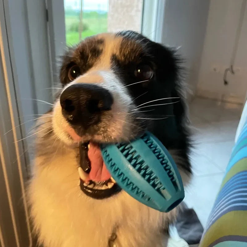 Interaktiv Tuggleksaksboll för Hund – Tandrengöring & Godisfunktion