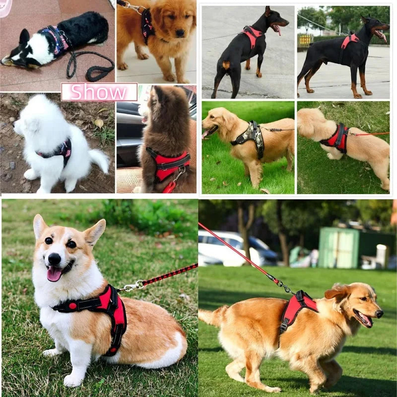 Justerbar Hundsele i Västmodell – Reflex, Vaddering & Snabbspänne för Alla Storlekar