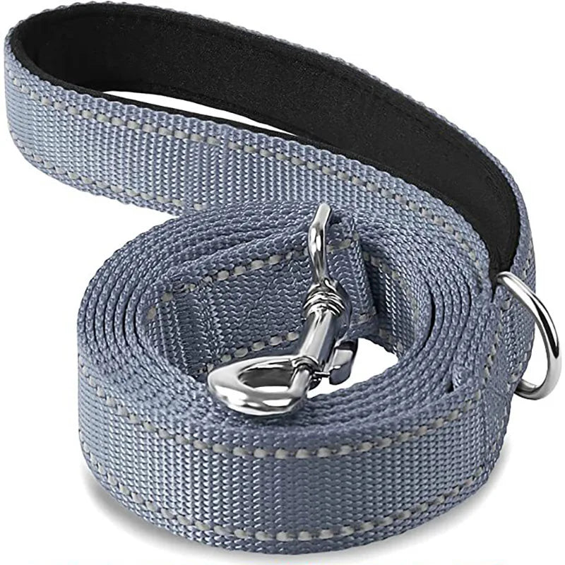 Reflekterande Koppel för Hund & Katt – Slitstarkt Polyester för Promenad & Träning