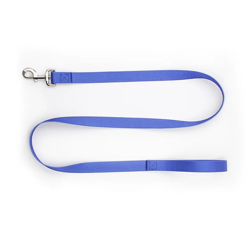 Färgglatt Hundkoppel & Halsband – Justerbart Nylonsset