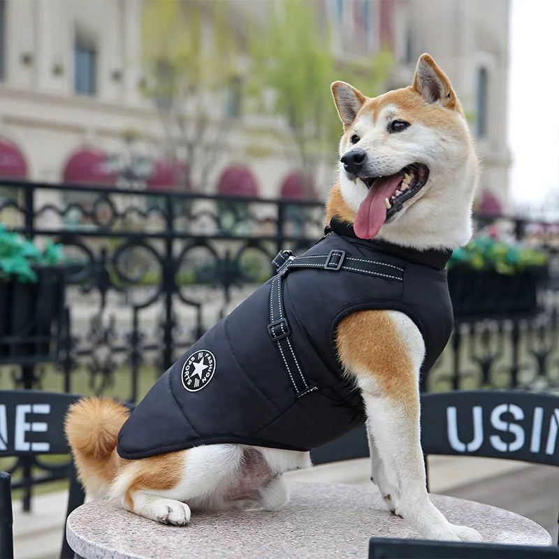 Vattentät Vinterjacka till Hund med Integrerad Sele – Varm, Bekväm och Justerbar