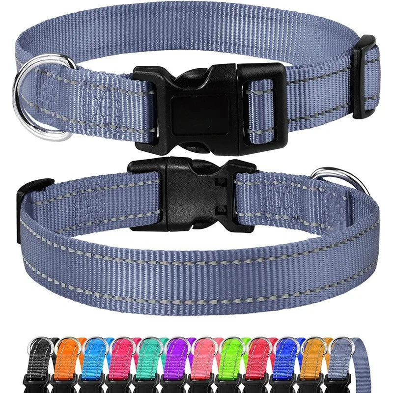 Hållbart Hundhalsband med Spänne – Justerbart och Stilrent för Valpar och Vuxna Hundar i Alla Storlekar