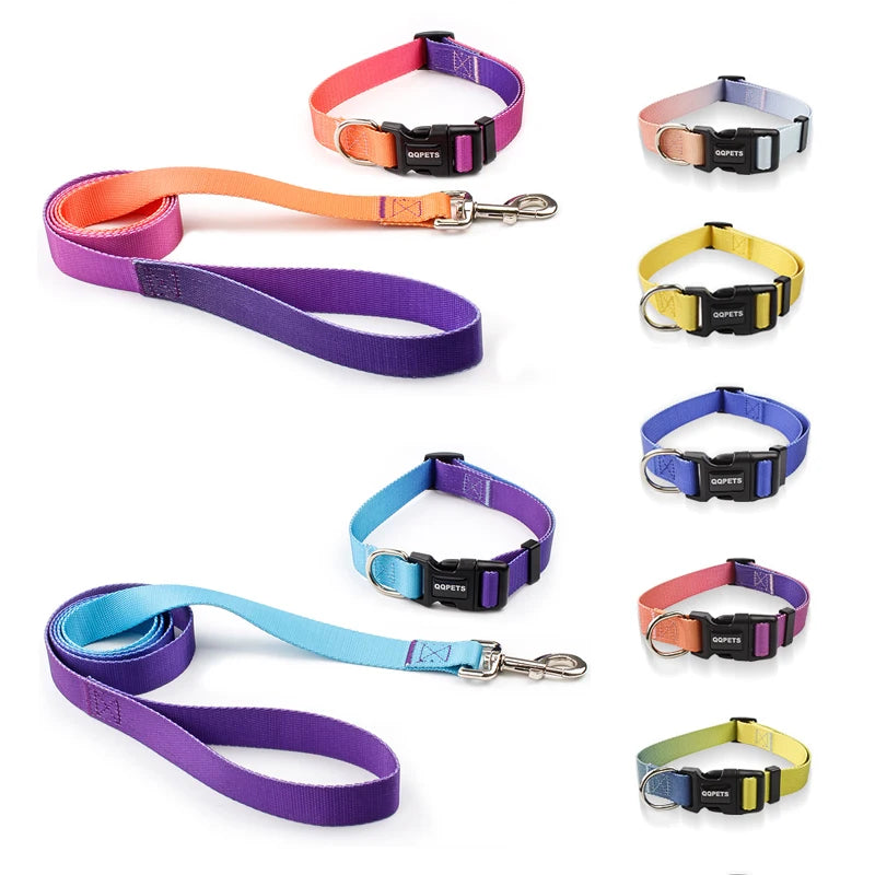 Färgglatt Hundkoppel & Halsband – Justerbart Nylonsset