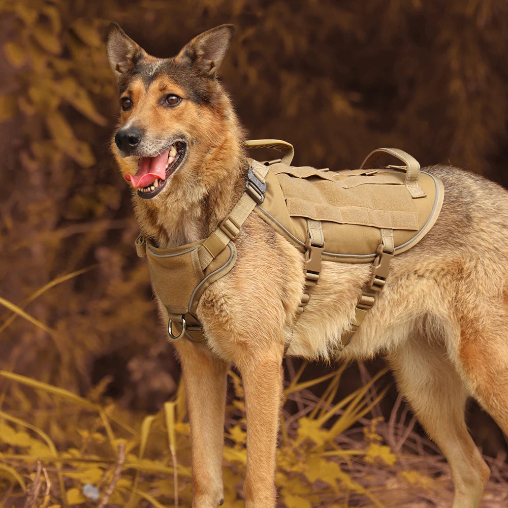 Taktisk Rymningssäker Hundsele i Nylon för Stora Hundar