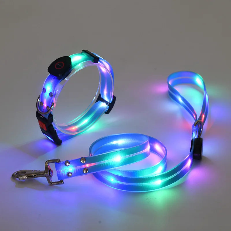 Reflekterande & Blinkande LED-Halsband med Koppel – för Säkra Kvällspromenader