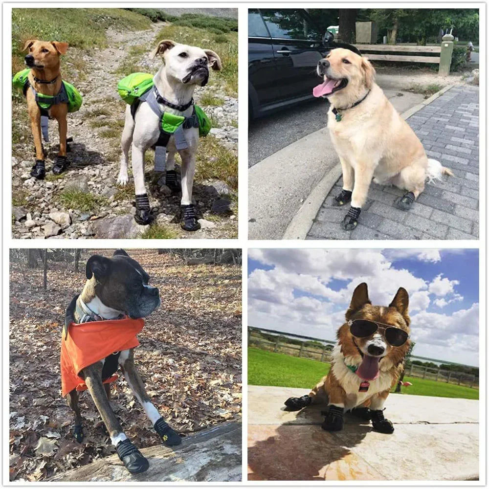 Vattentäta Hundskor – Halksäkra Gummiskor med Reflex - Skydd för Tassar i Snö & Värme – 4-pack