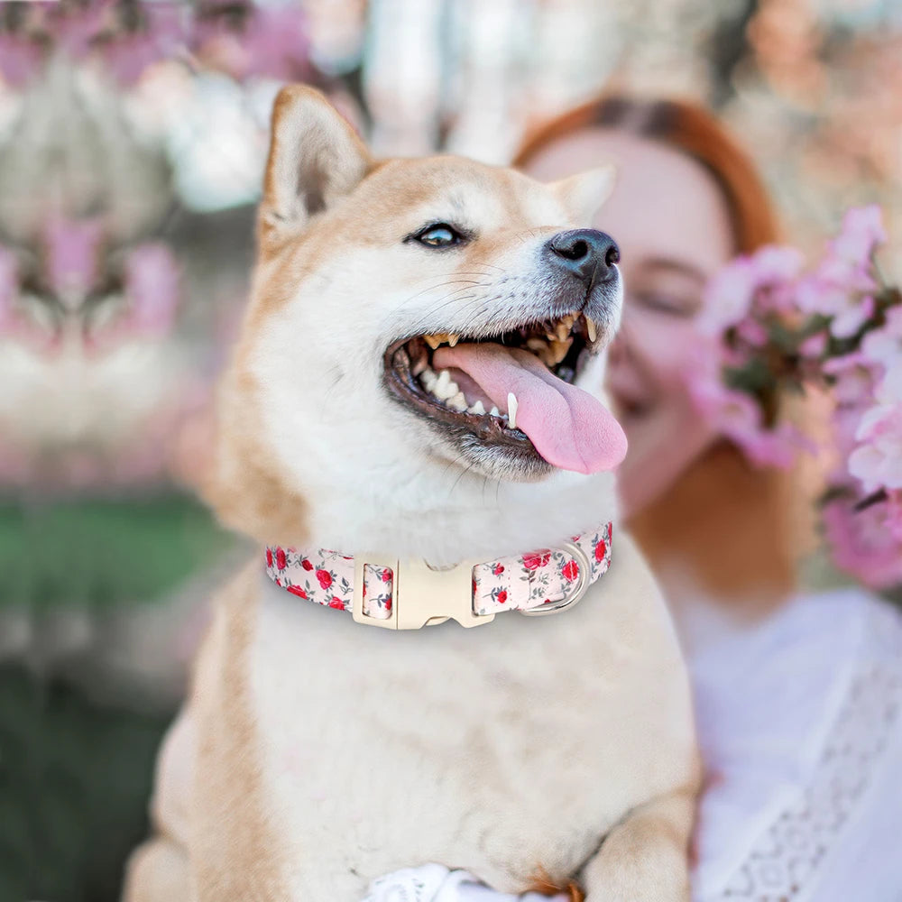 Justerbart Nylonhalsband för Hund – Söt Design med Blommor
