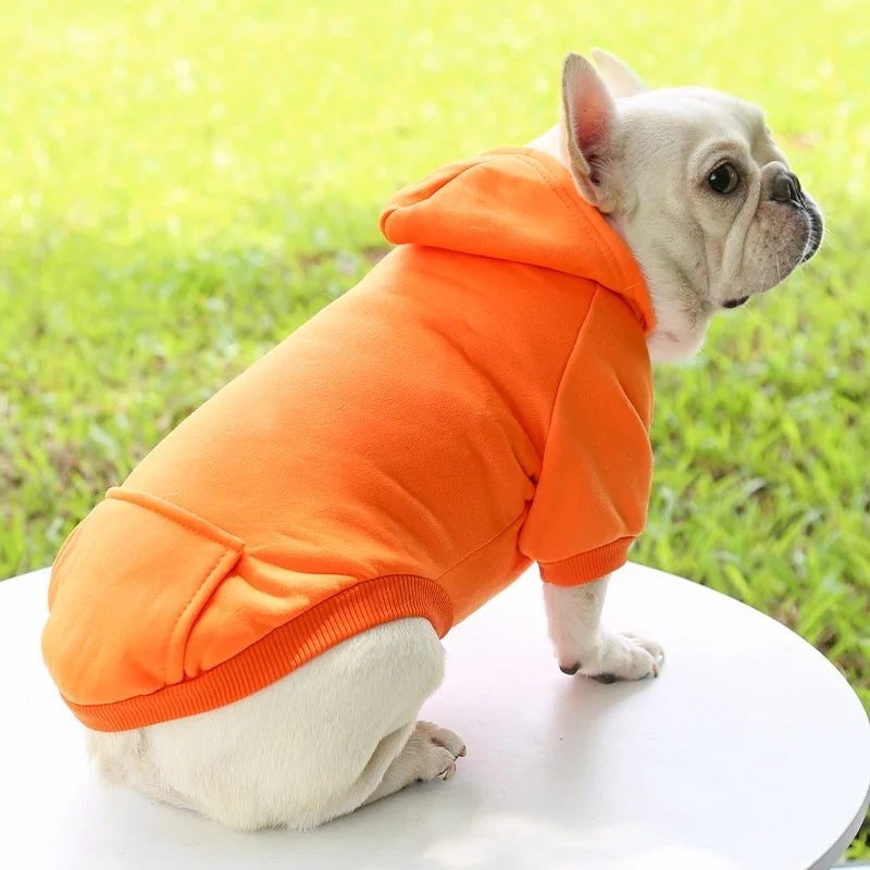 Varm Vinterhoodie för Hund – Mjuk Fleecejacka med Huva & Ficka för Små till Medelstora Raser