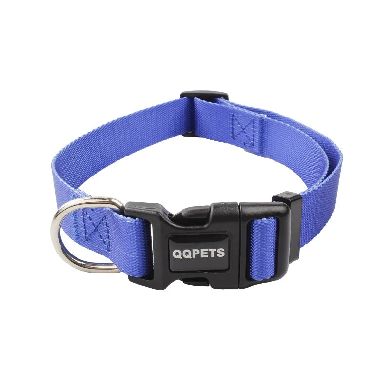 Färgglatt Hundkoppel & Halsband – Justerbart Nylonsset