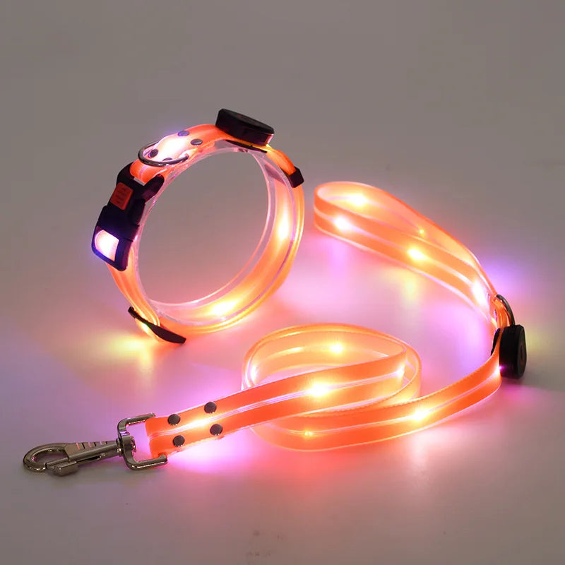 Reflekterande & Blinkande LED-Halsband med Koppel – för Säkra Kvällspromenader