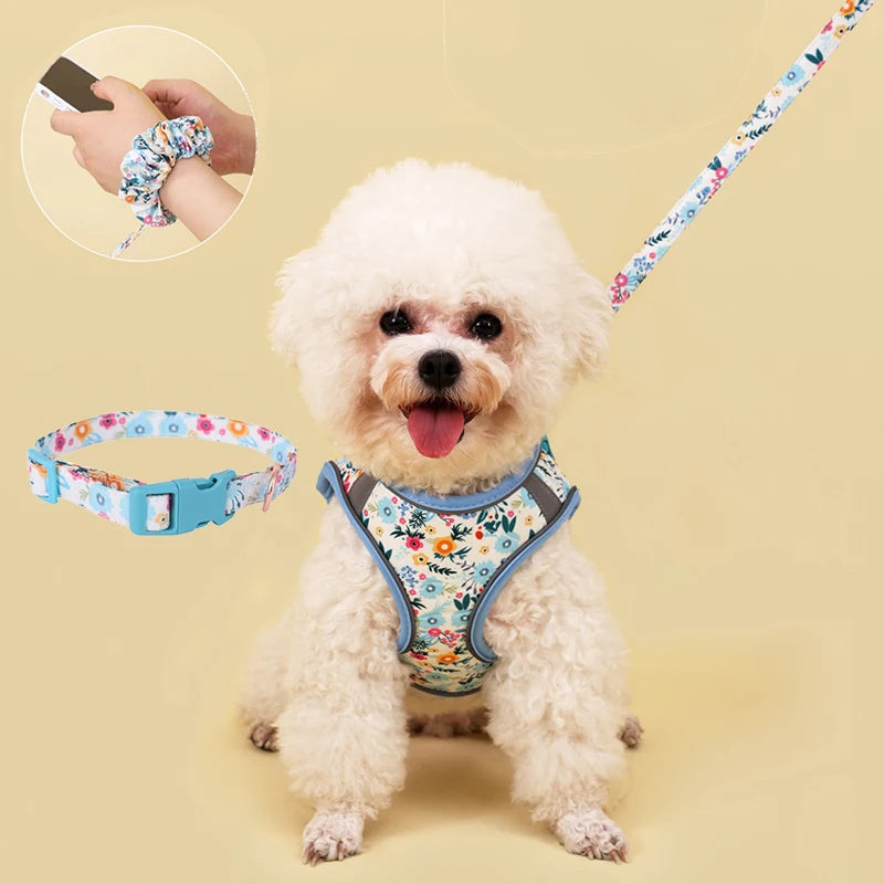 Reflexsele, Halsband och Handsfree-koppel för Hund eller Katt – Justerbar, Bekväm och Säker