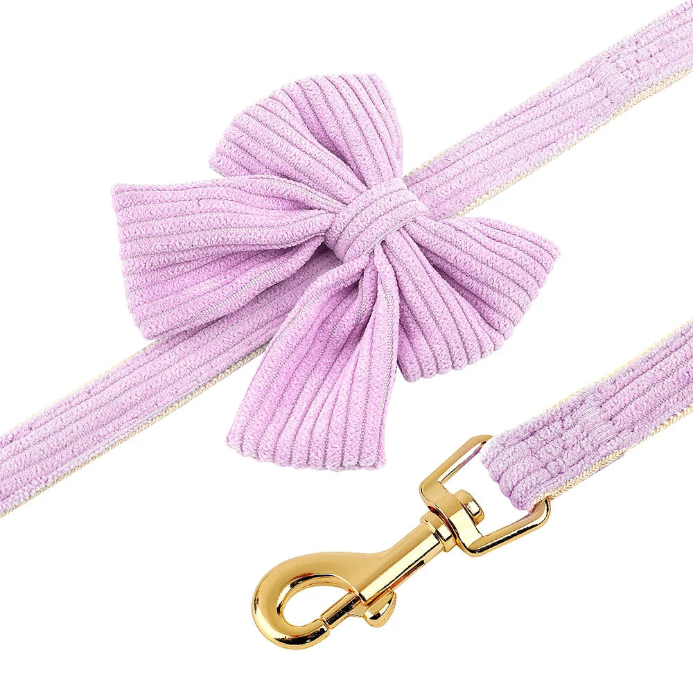 Sött Halsband och Koppelset i Sammet för Små till Medelstora Hundar