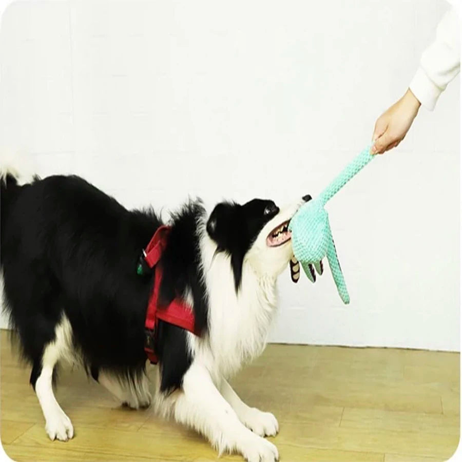 Underhåll din Hund med en Gosig, Mjuk och Pipande Bläckfisk som Lindrar Tristess
