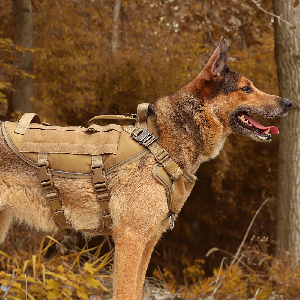 Taktisk Rymningssäker Hundsele i Nylon för Stora Hundar
