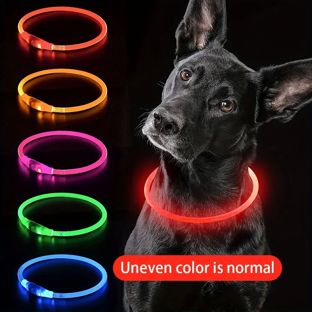 LED Hundhalsband med USB-laddning – Synlighet & Säkerhet i Mörker