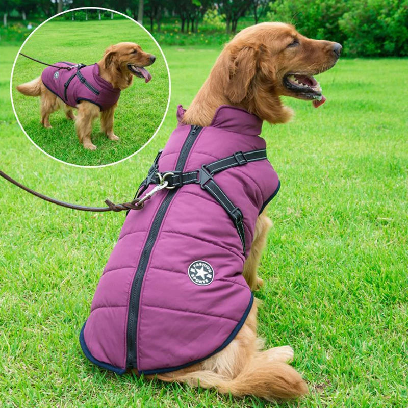 Vattentät Vinterjacka till Hund med Integrerad Sele – Varm, Bekväm och Justerbar