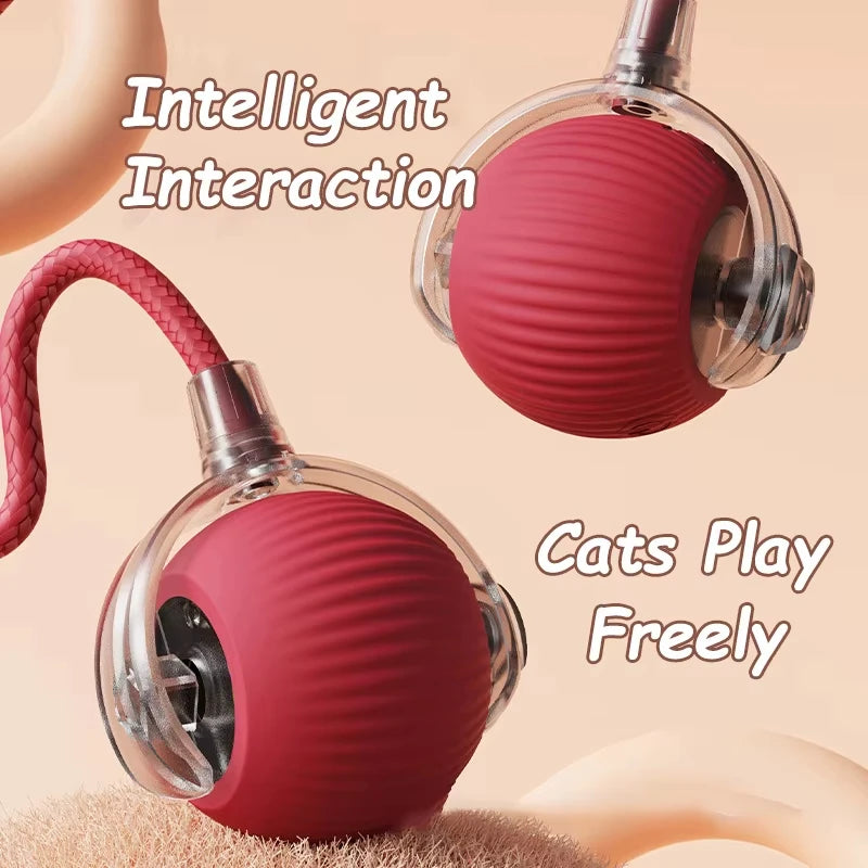 Elektrisk Interaktiv Boll för Katt och Hund – Smart Rullande Husdjursleksak med USB