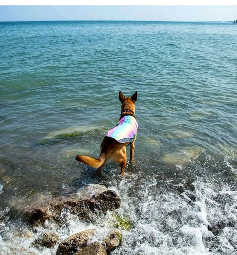 Sommarväst med Snabb Kyla för Hund – Regnbågsfärgad Andningsbar Väst