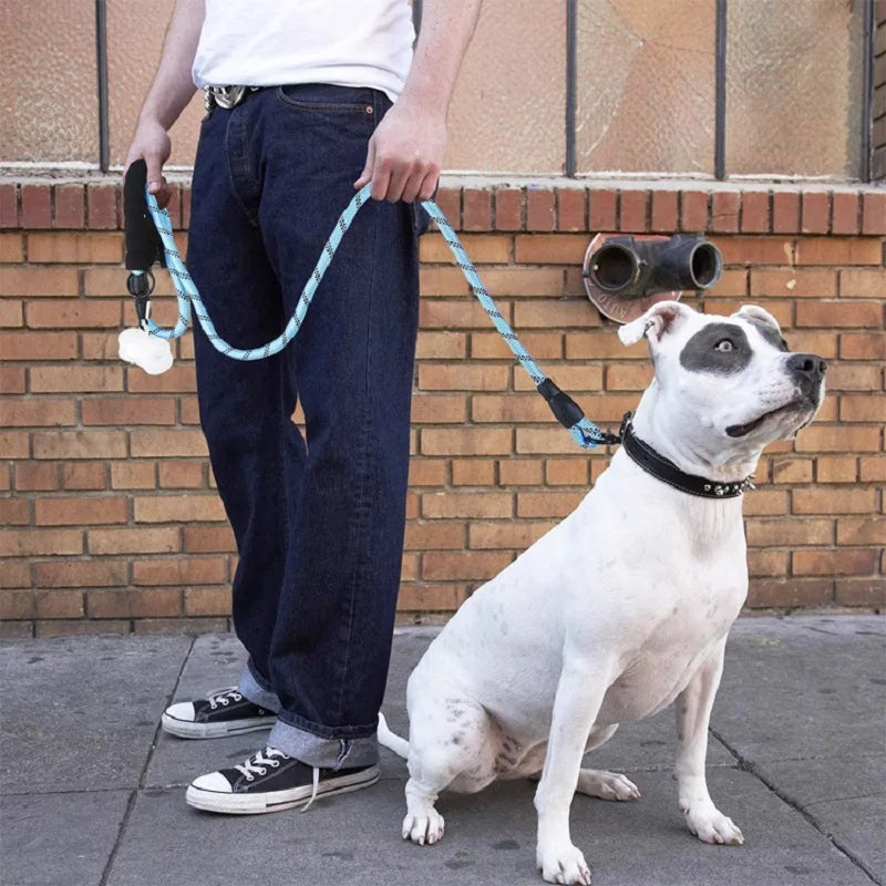 Förstärkt Nylonkoppel med Reflex – Slitstarkt & Bekvämt Hundkoppel i 4 Längder