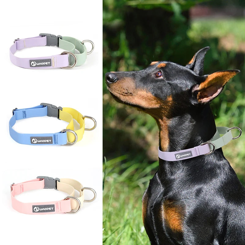 Vattentätt Hundhalsband i PVC – Träningshalsband med P-kedja och Dubbla D-ringar