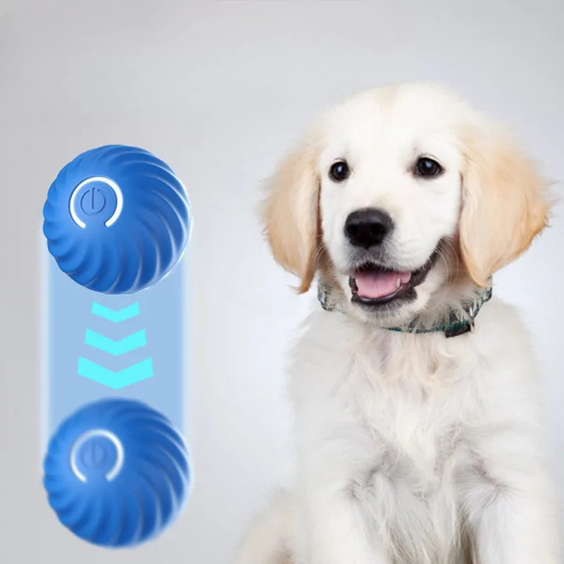 Intelligent Hoppande Hundboll – USB-laddningsbar Interaktiv Boll för Valpar och Små Hundar