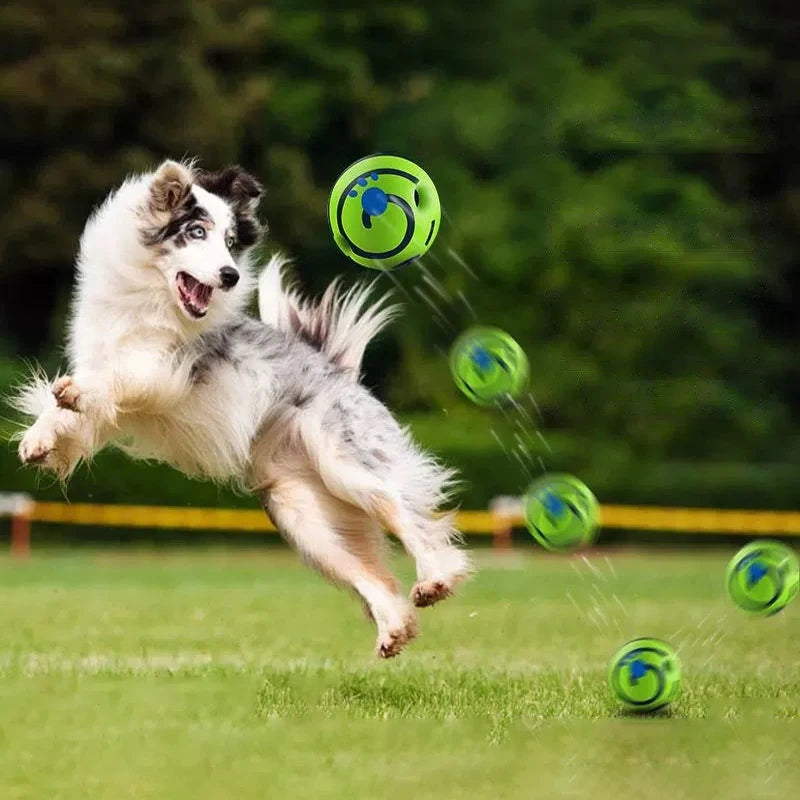 Interaktiv Leksaksboll för Hund – Med Roliga Ljud vid Rörelse