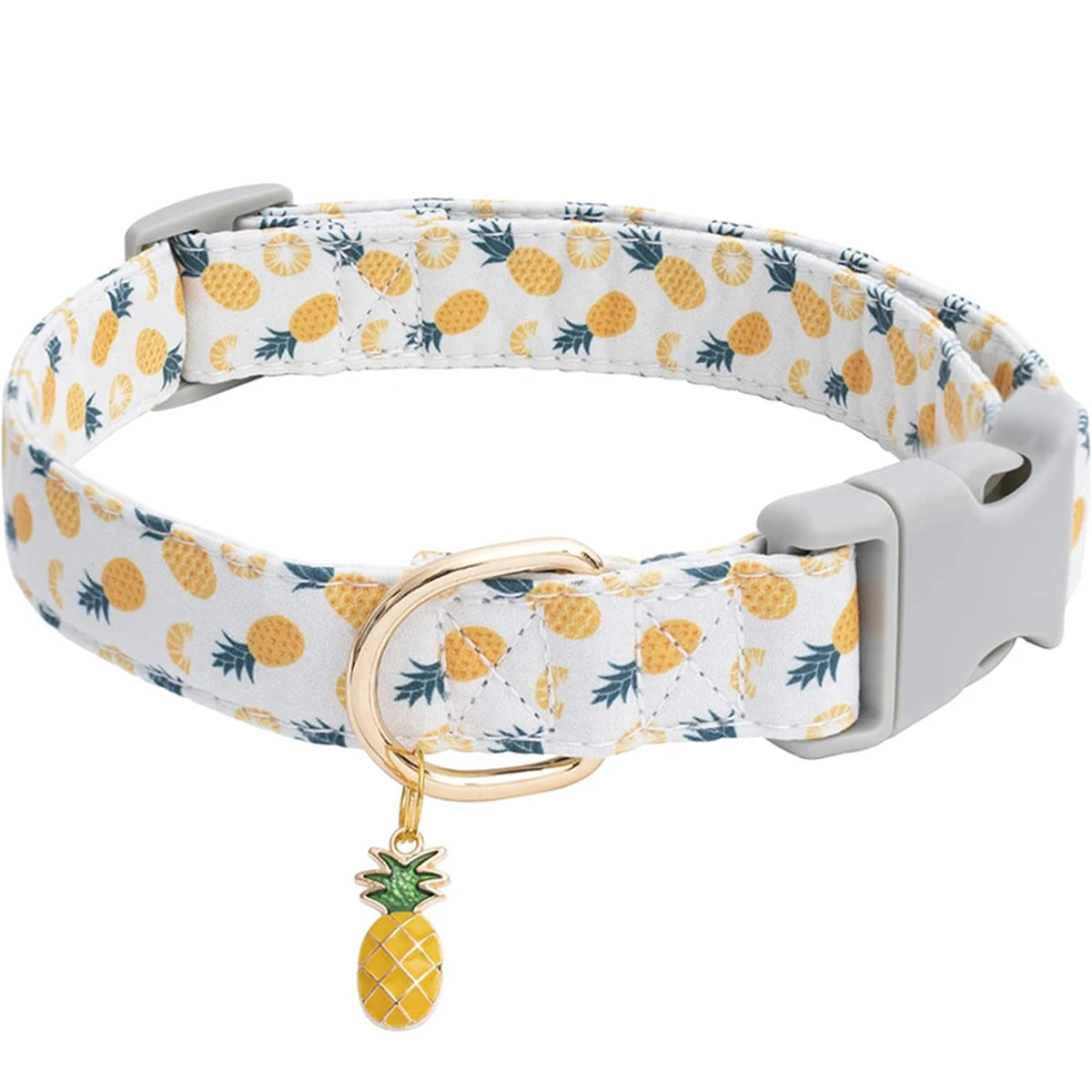 Lekfullt Halsband med Fruktmotiv – För Hundar och Katter