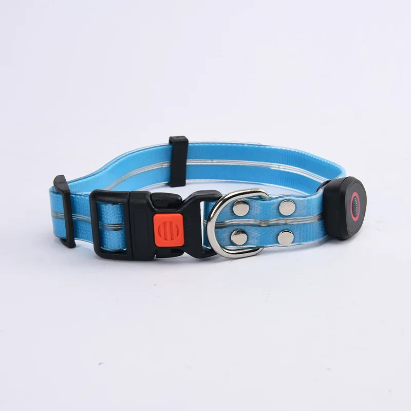 Reflekterande & Blinkande LED-Halsband med Koppel – för Säkra Kvällspromenader