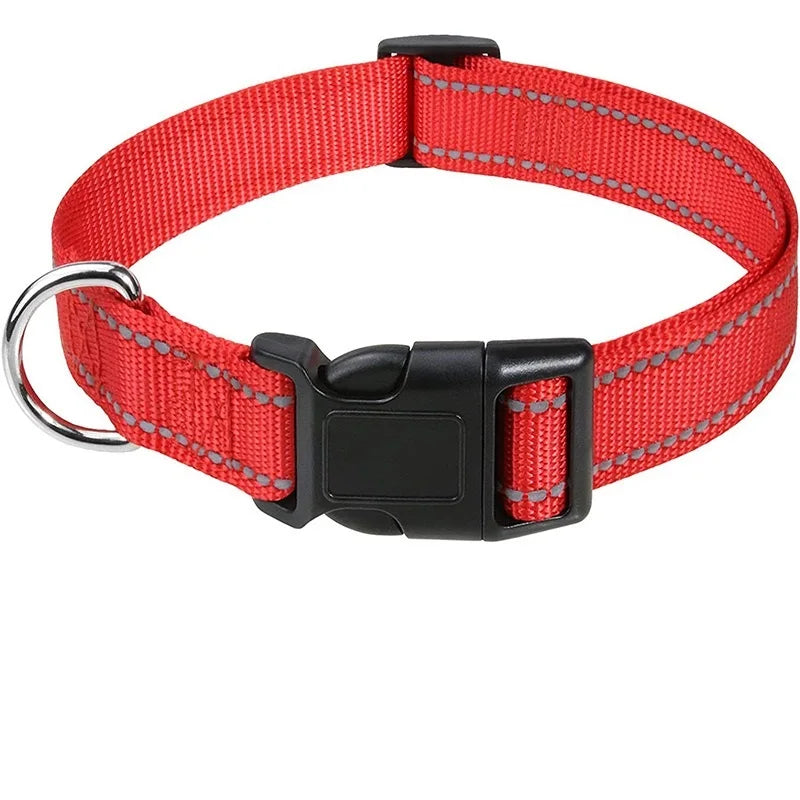 Hållbart Hundhalsband med Spänne – Justerbart och Stilrent för Valpar och Vuxna Hundar i Alla Storlekar