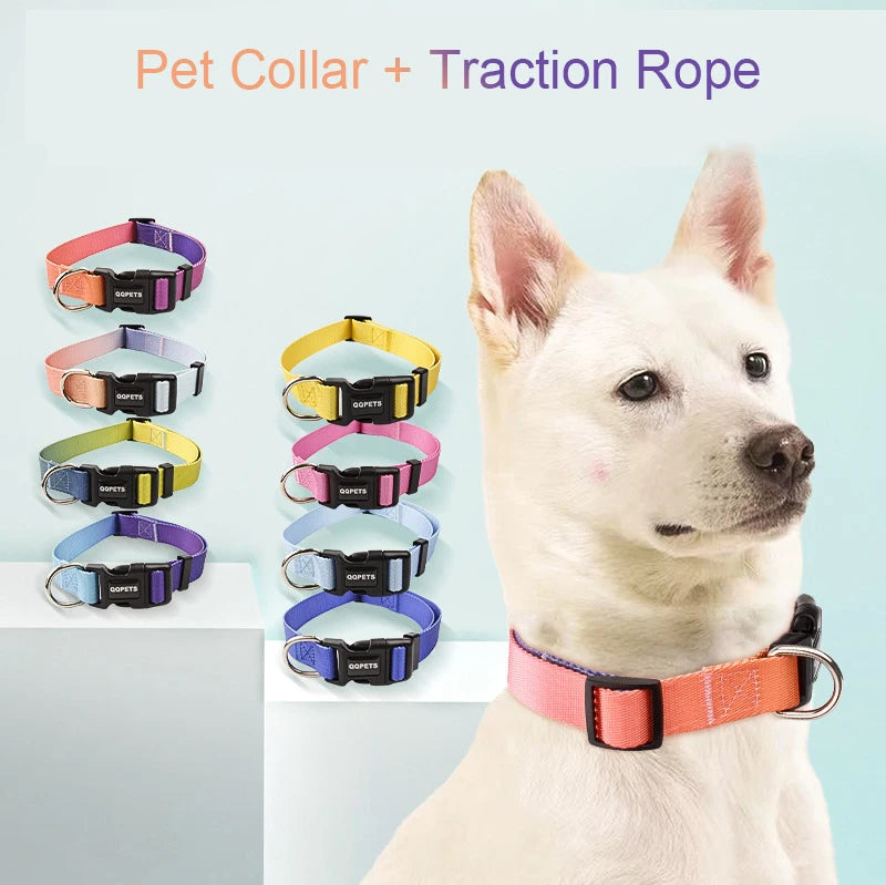 Färgglatt Hundkoppel & Halsband – Justerbart Nylonsset