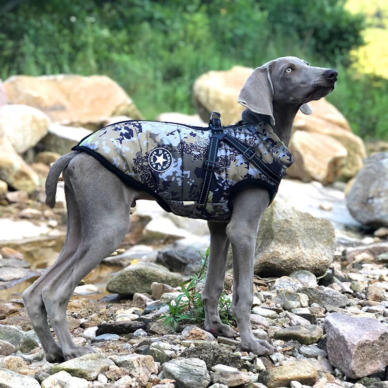 Vattentät Vinterjacka till Hund med Integrerad Sele – Varm, Bekväm och Justerbar