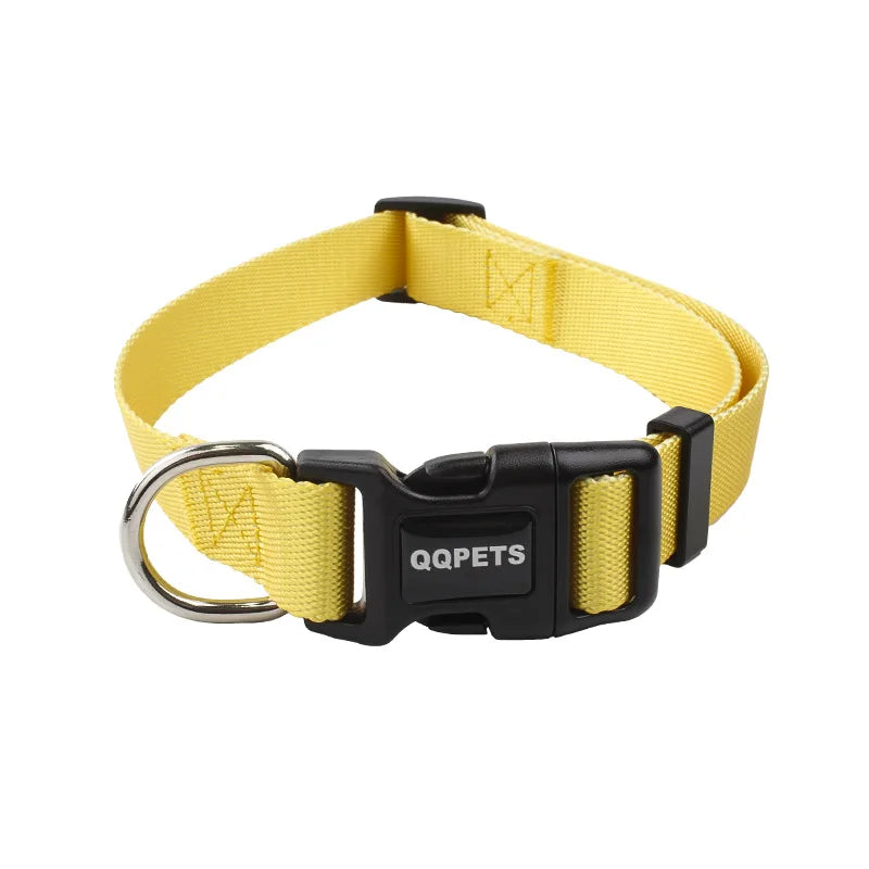 Färgglatt Hundkoppel & Halsband – Justerbart Nylonsset