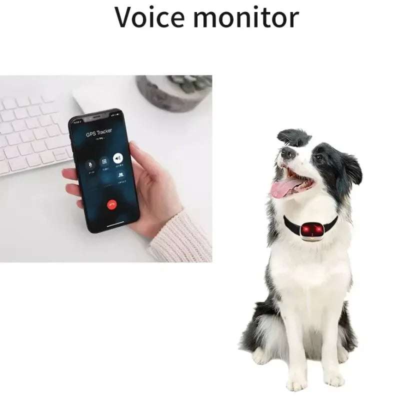 4g GPS-Spårare för Hund och Katt – Vattentät med LED-Ljus & Realtidsspårning