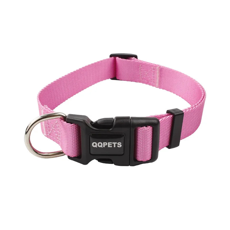 Färgglatt Hundkoppel & Halsband – Justerbart Nylonsset