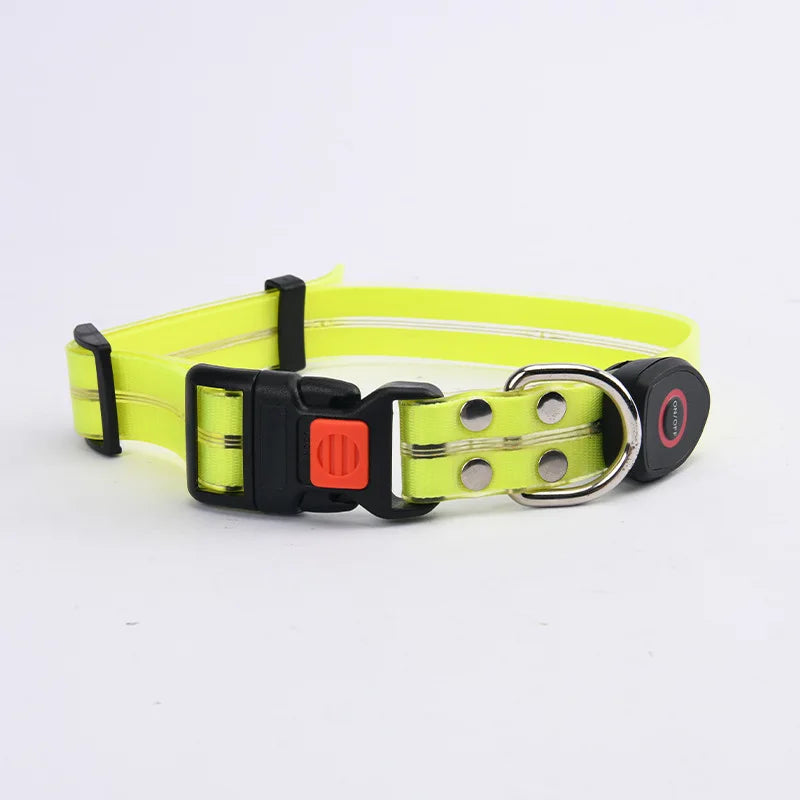 Reflekterande & Blinkande LED-Halsband med Koppel – för Säkra Kvällspromenader