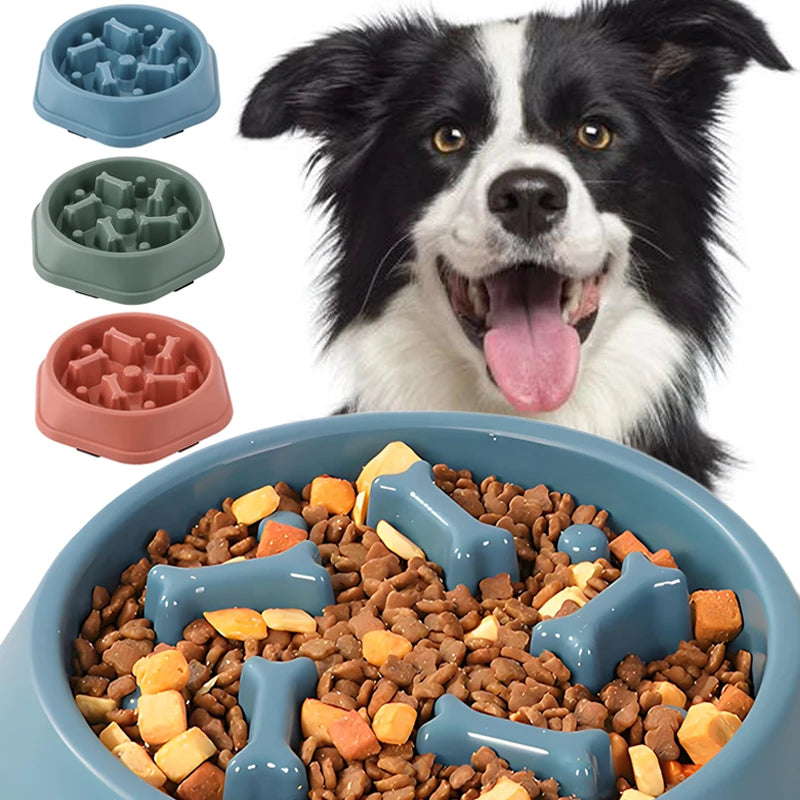 Slow Feeder-Skål för Hund – Minskar Hetsätning & Främjar Hälsosam Matsmältning
