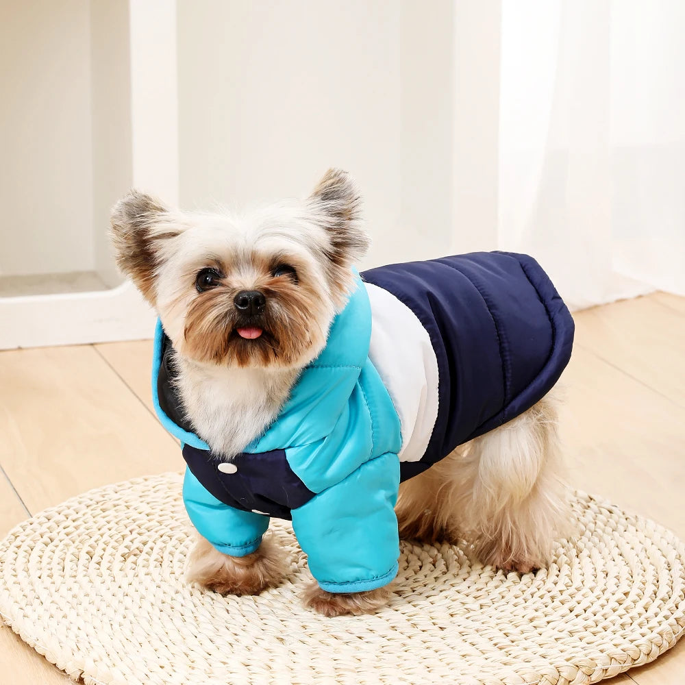 Varm Vindtät Hundjacka med Fleece och D-ring – Små Hundar & Katter