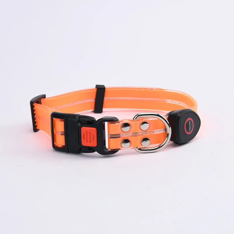 Reflekterande & Blinkande LED-Halsband med Koppel – för Säkra Kvällspromenader